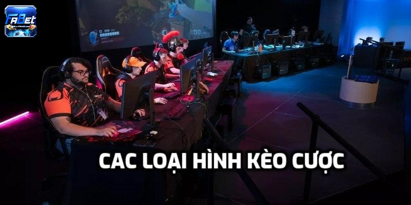 Các loại hình cá cược