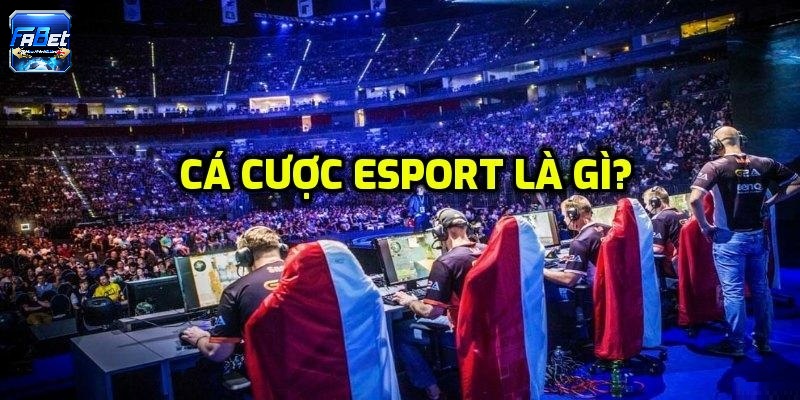 Cá cược Esport là gì?