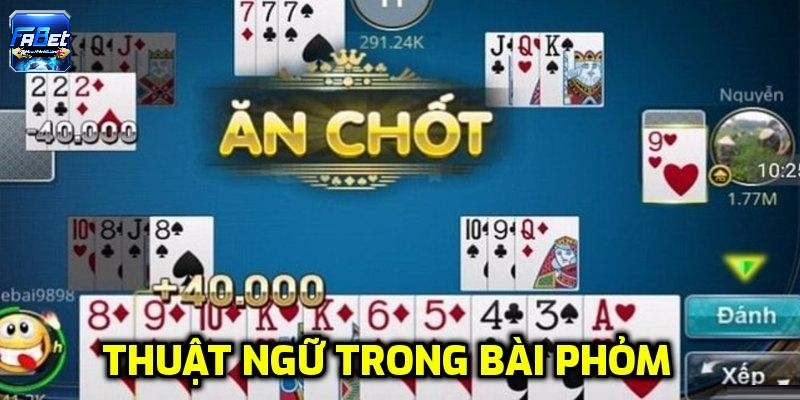 Thuật ngữ trong bài phỏm