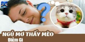 Nằm mơ thấy mèo là điềm gì?