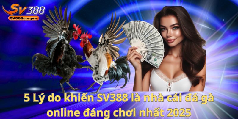5 Lý do khiến SV388 là nhà cái đá gà online đáng chơi nhất 2025