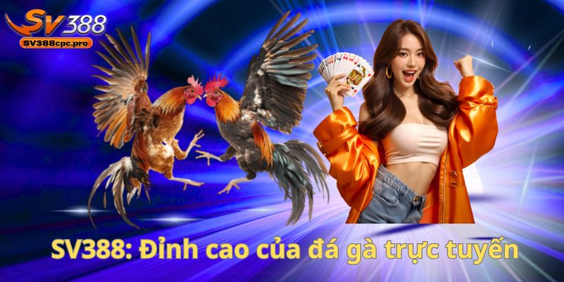 Giới thiệu SV388: Đỉnh cao của đá gà trực tuyến