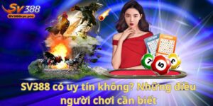 SV388 có uy tín không? Những điều người chơi cần biết